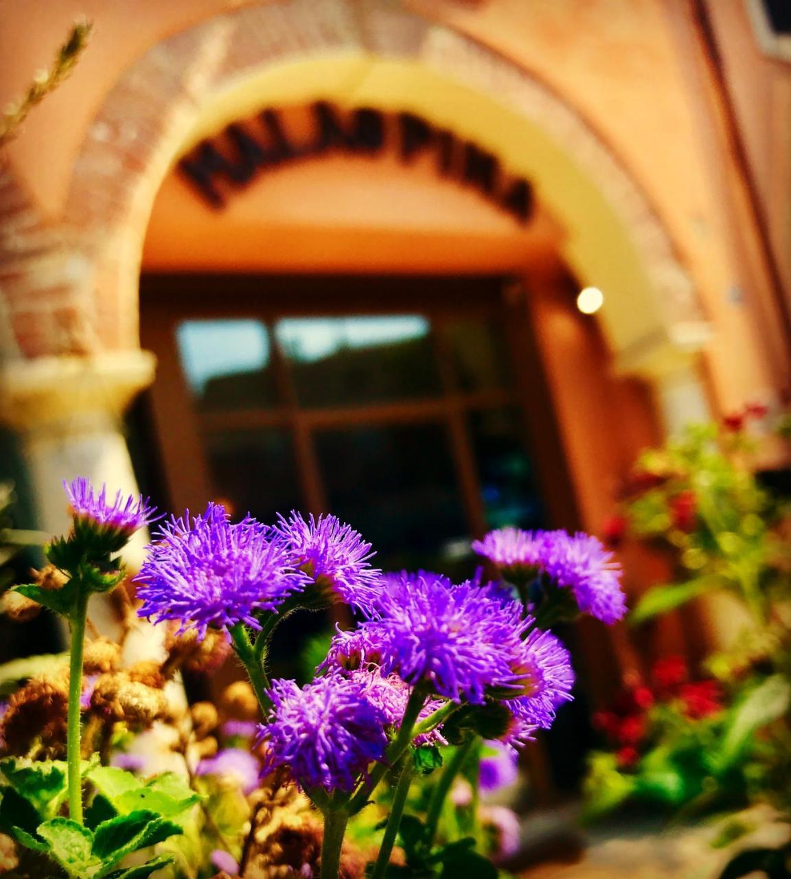 Boutique Hotel Corte Malaspina Castelnuovo del Garda Exterior photo